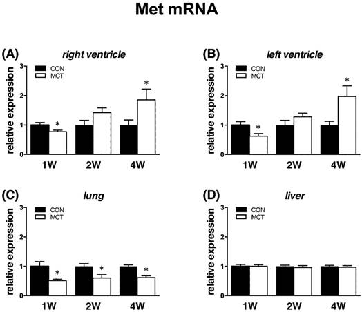 Int J Med Sci Image