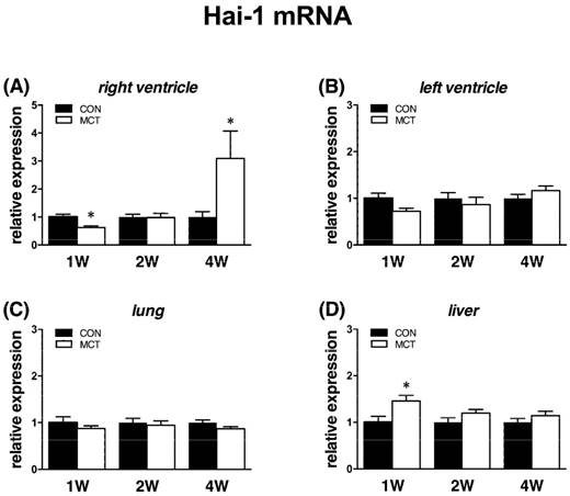 Int J Med Sci Image