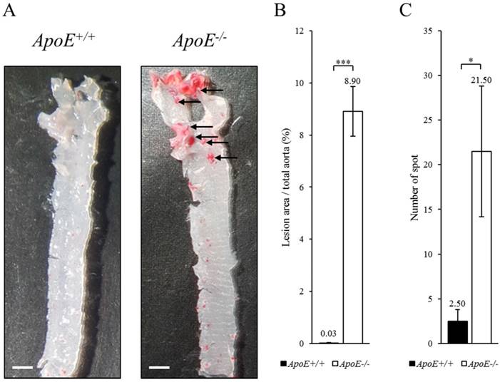 Int J Med Sci Image