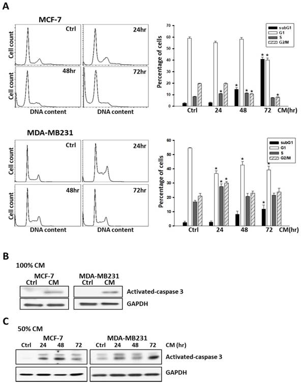 Int J Med Sci Image