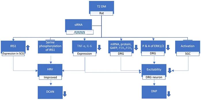 Int J Med Sci Image