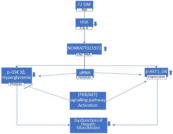 Int J Med Sci Image