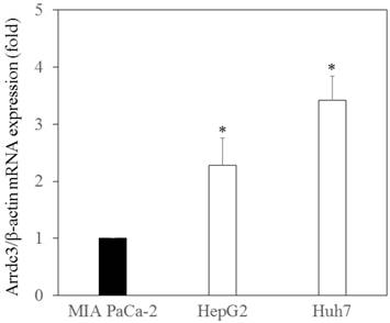 Int J Med Sci Image