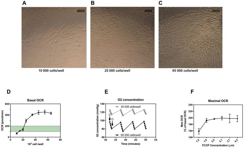 Int J Med Sci Image