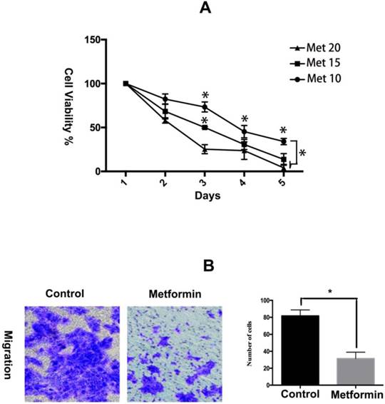 Int J Med Sci Image