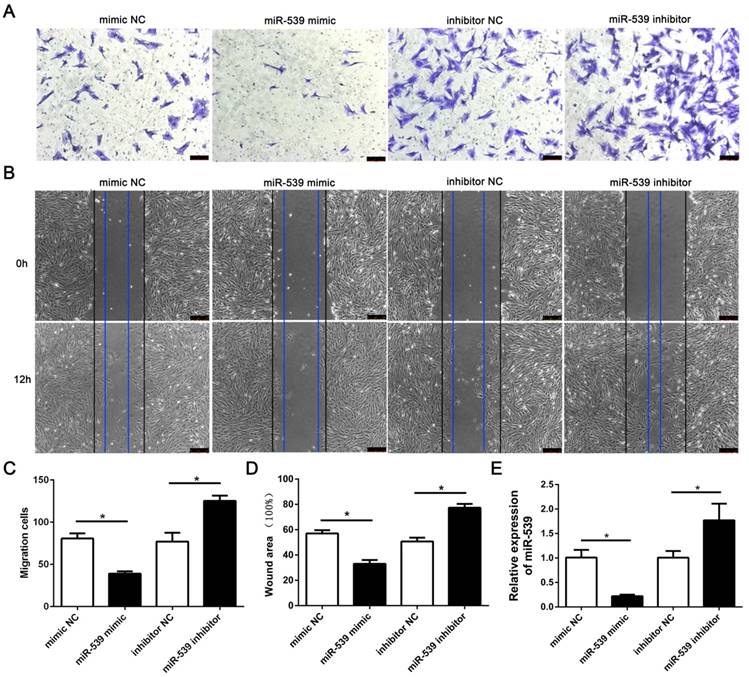 Int J Med Sci Image