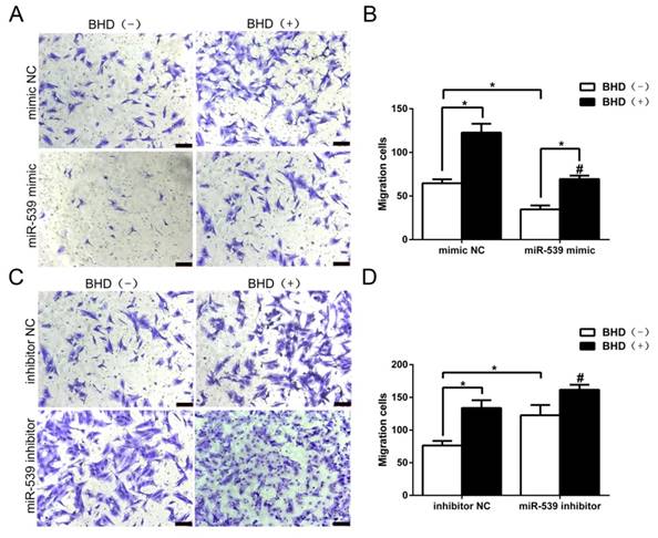 Int J Med Sci Image