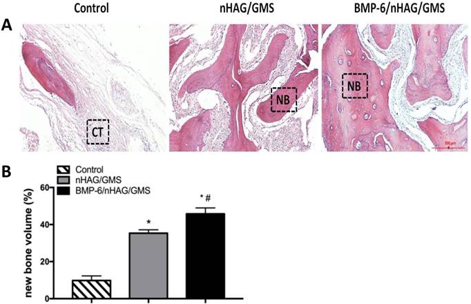 Int J Med Sci Image