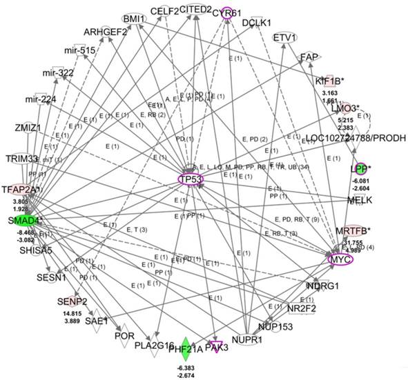 Int J Med Sci Image