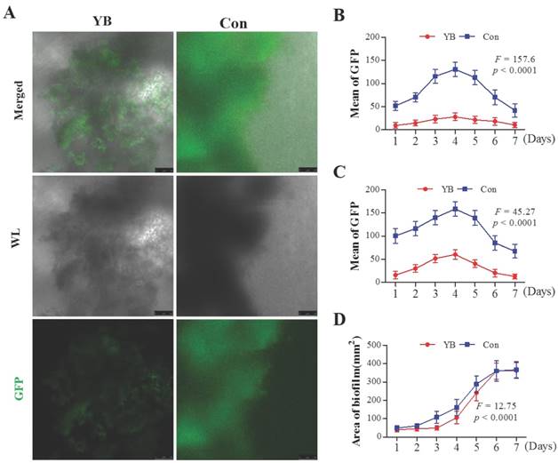 Int J Med Sci Image