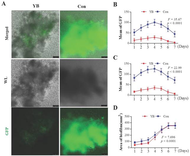 Int J Med Sci Image