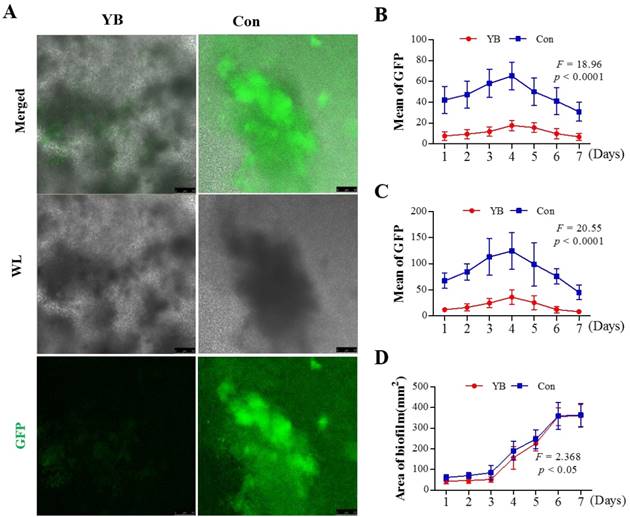 Int J Med Sci Image