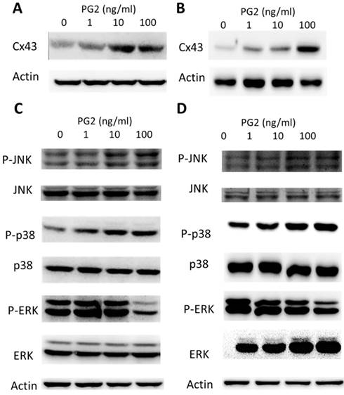 Int J Med Sci Image