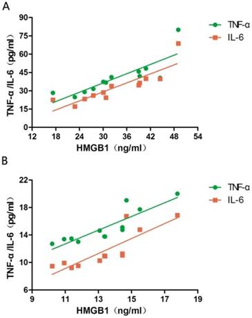 Int J Med Sci Image