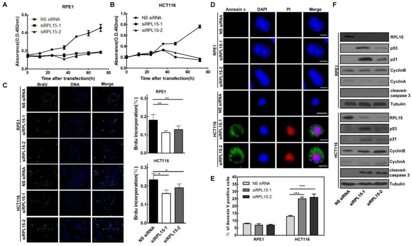 Int J Med Sci Image