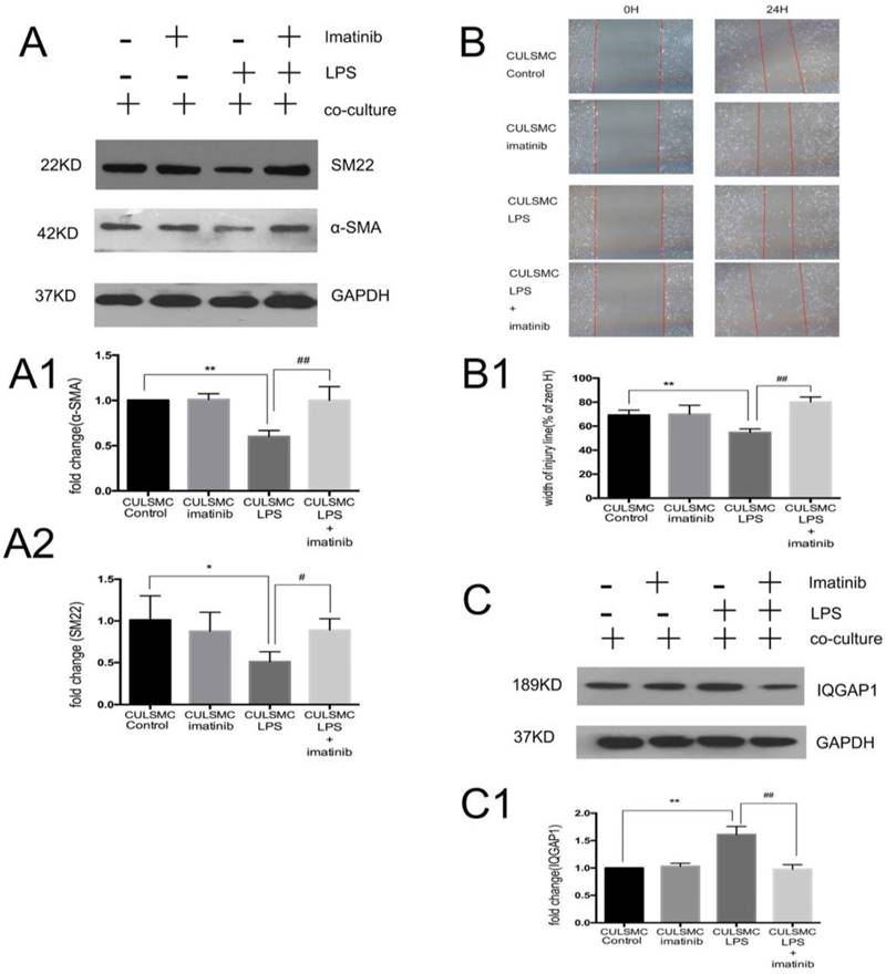 Int J Med Sci Image