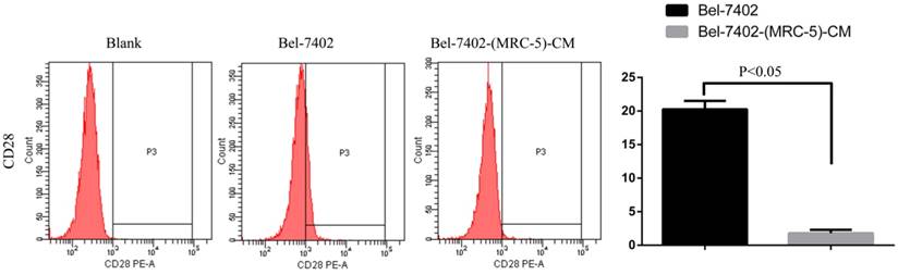 Int J Med Sci Image