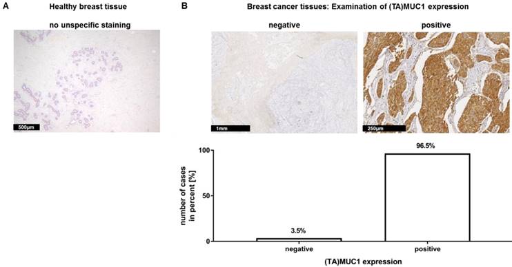 Int J Med Sci Image