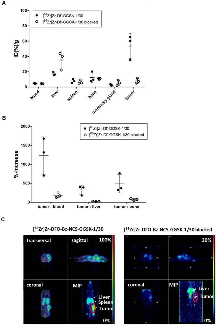 Int J Med Sci Image