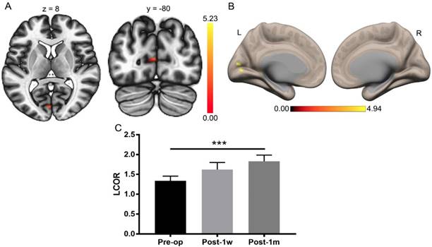 Int J Med Sci Image