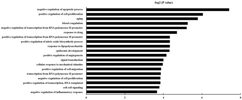 Int J Med Sci Image