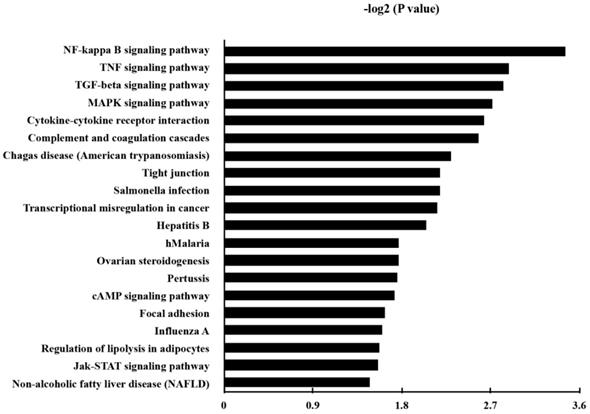 Int J Med Sci Image