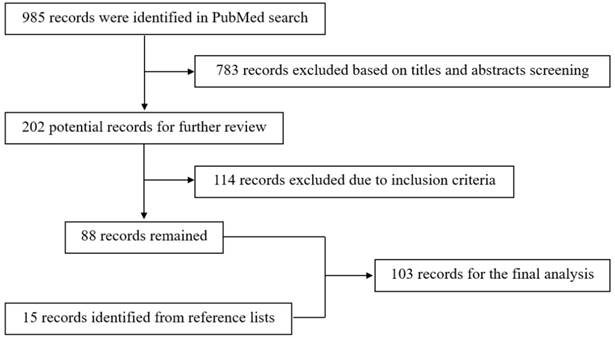 Int J Med Sci Image