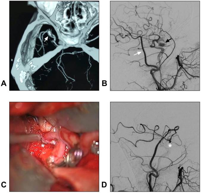 Int J Med Sci Image