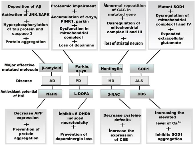 Int J Med Sci Image