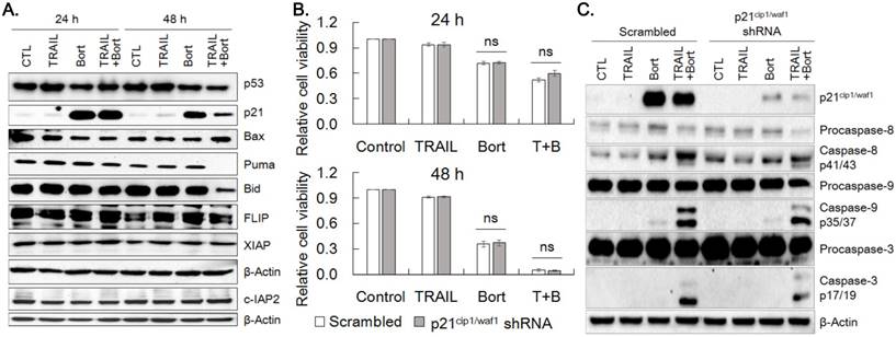 Int J Med Sci Image