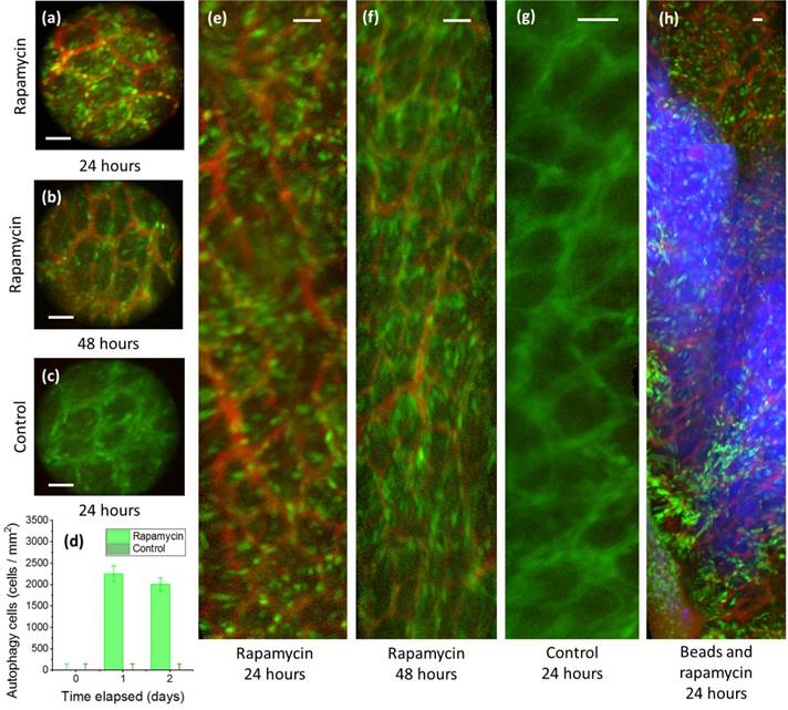 Int J Med Sci Image