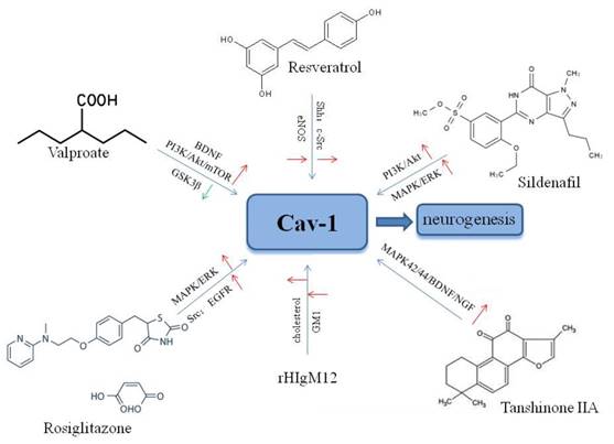 Int J Med Sci Image