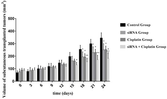 Int J Med Sci Image