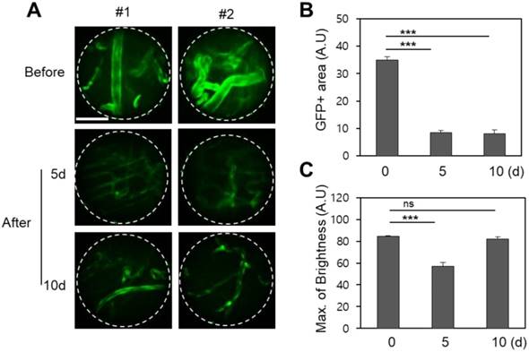 Int J Med Sci Image