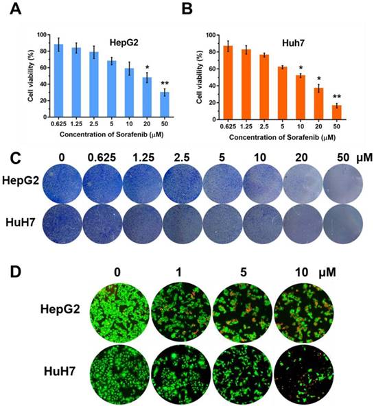 Int J Med Sci Image