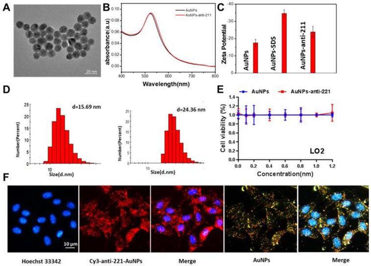 Int J Med Sci Image