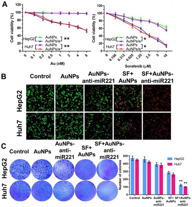 Int J Med Sci Image