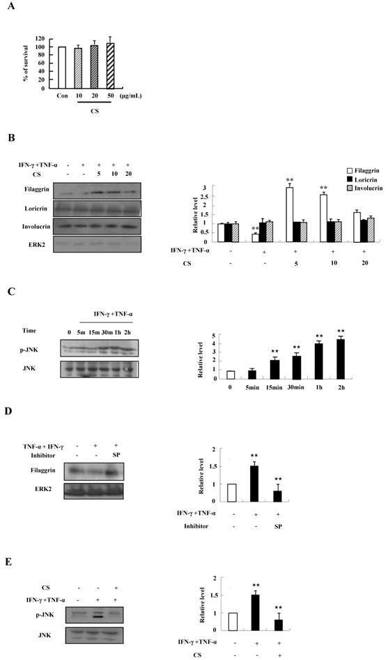 Int J Med Sci Image