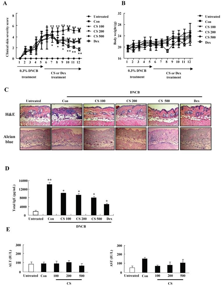 Int J Med Sci Image