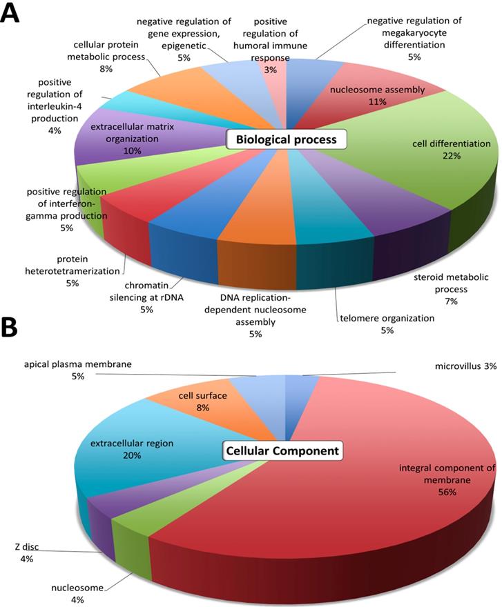 Int J Med Sci Image