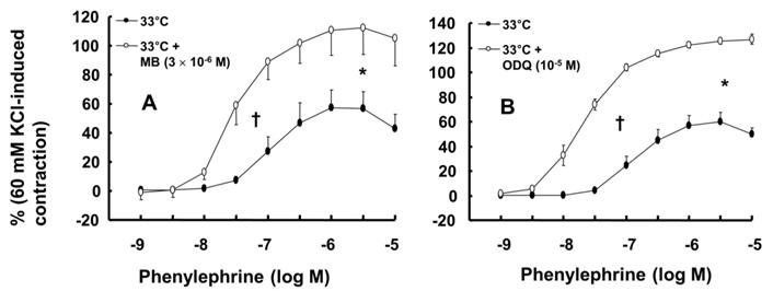 Int J Med Sci Image