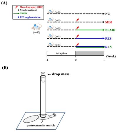 Int J Med Sci Image