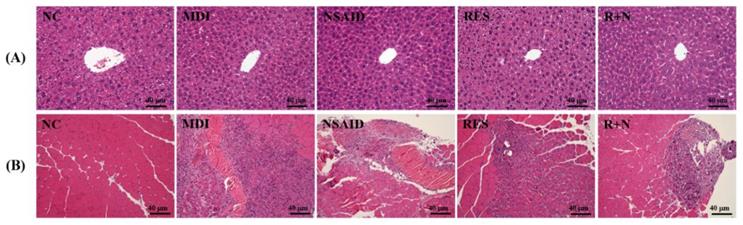 Int J Med Sci Image