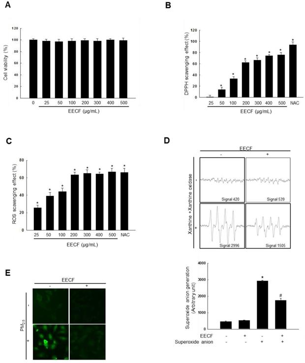 Int J Med Sci Image