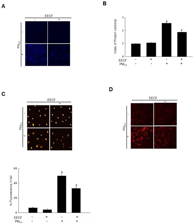 Int J Med Sci Image