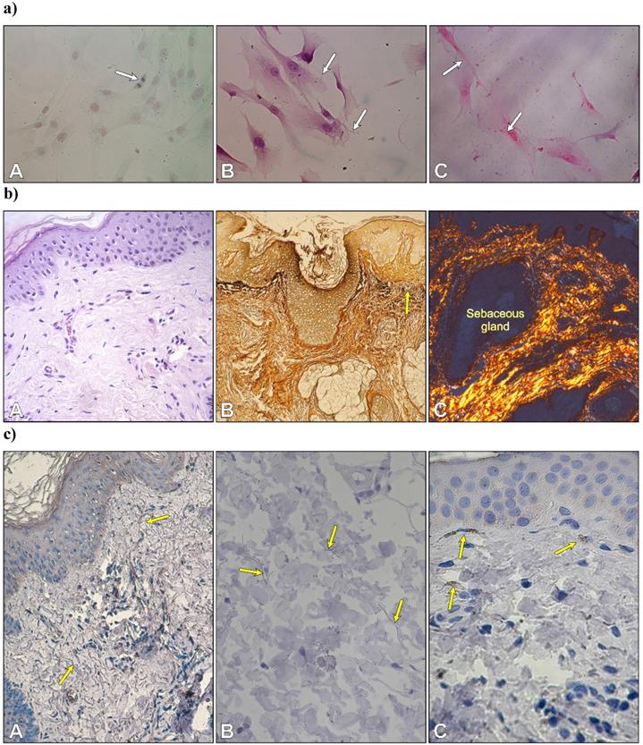 Int J Med Sci Image