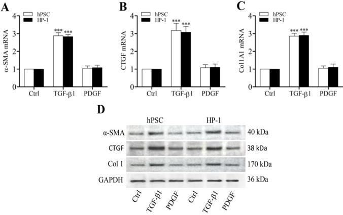 Int J Med Sci Image