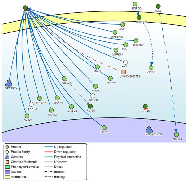 Int J Med Sci Image