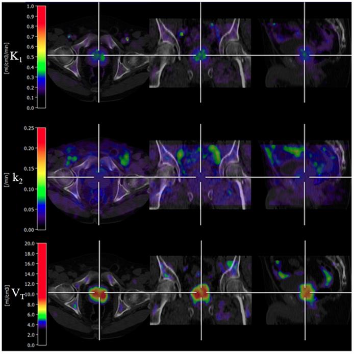 Int J Med Sci Image