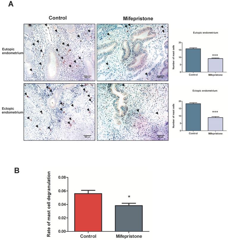 Int J Med Sci Image